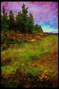 232083 Parc Nationale De La Mauricie A4 Limited Edition Watercolour Print