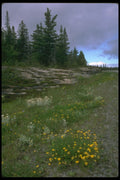 232083 Parc Nationale De La Mauricie A4 Photo Print