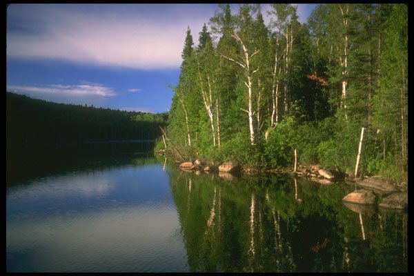 232084 Lac Bouchard, Parc Nationale De La Mauricie A4 Photo Print