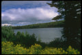 232086 Lac Alphonse, Parc Nationale De La Mauricie A4 Photo Print