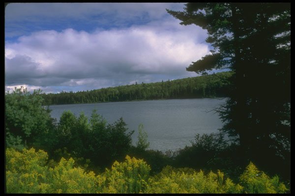 232086 Lac Alphonse, Parc Nationale De La Mauricie A4 Photo Print
