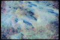 232096 Wind sculpted Snow A4 Limited Edition Watercolour Print