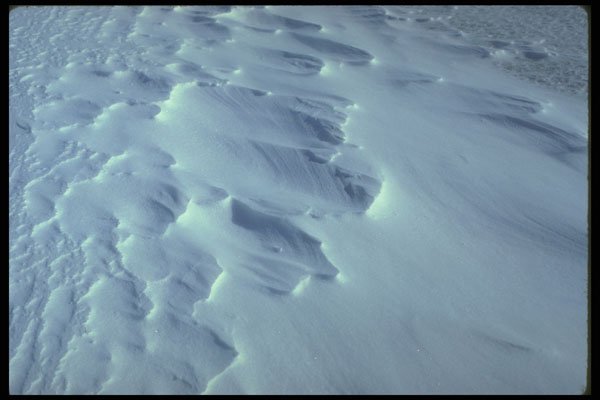 232096 Wind sculpted Snow A4 Photo Print