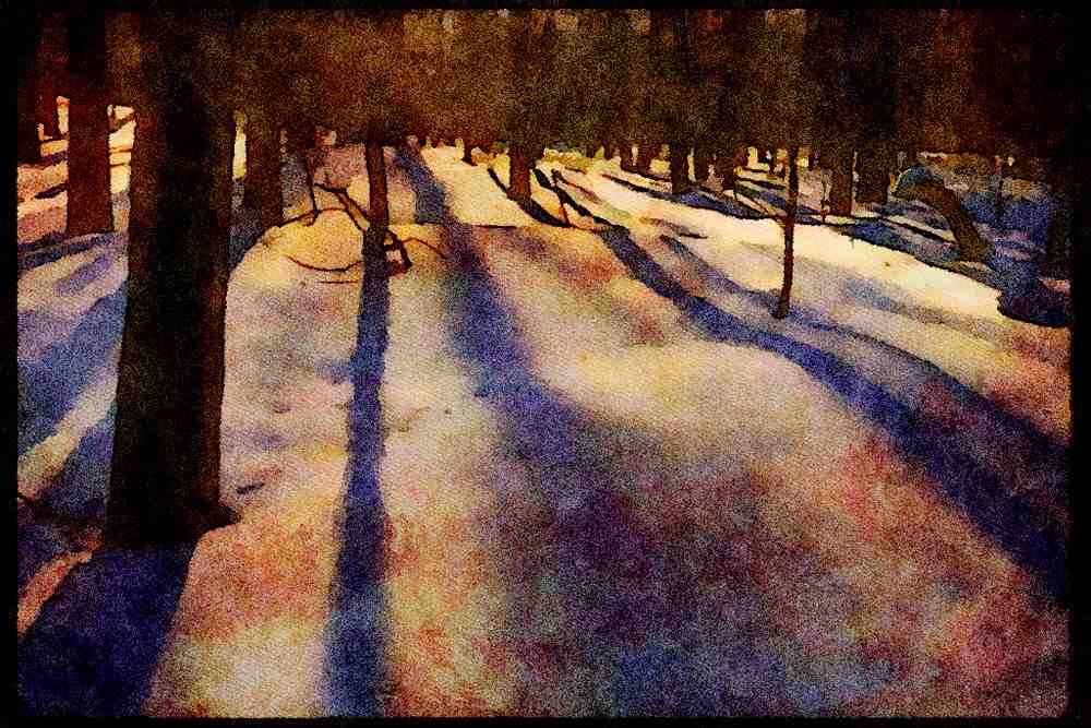232097 Woodland, Winter A4 Limited Edition Watercolour Print