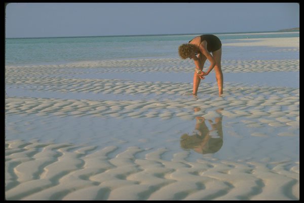 233003 Shell Collecting, Bahamas A4 Photo Print