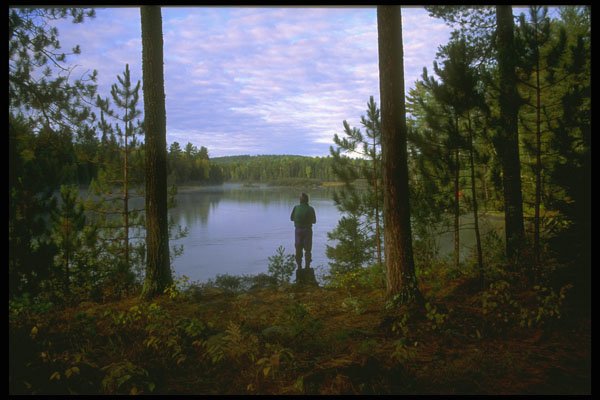 233012 Dumoine River, Quebec A4 Photo Print