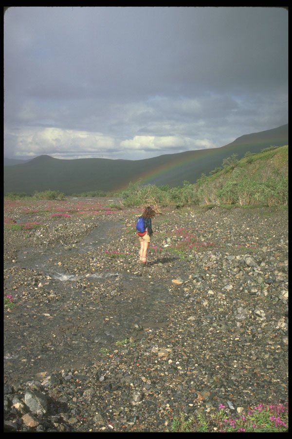 233016 Hiker, Burwash Creek, Yukon A4 Photo Print