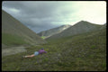 233017 Yukon A4 Photo Print