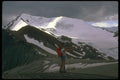 233024 Kluane National Park, Yukon A4 Photo Print
