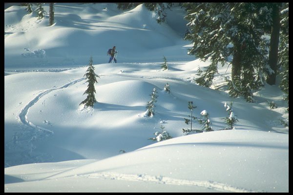 233036 Solo Skier, Cypress Park, British Columbia A4 Photo Print