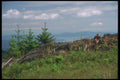 233037 Saltspring Island, British Columbia A4 Photo Print