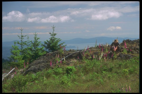 233037 Saltspring Island, British Columbia A4 Photo Print