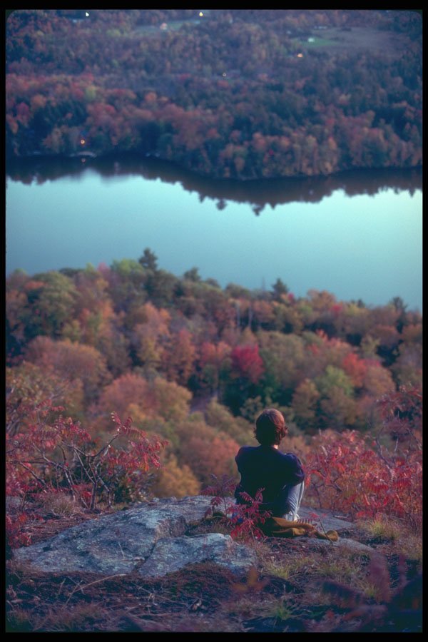 233039 Overlooking The Gatineau River, Quebec A4 Photo Print