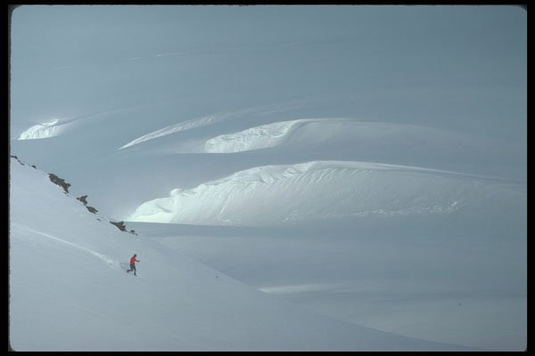 233040 Solo Skier, Yukon A4 Photo Print
