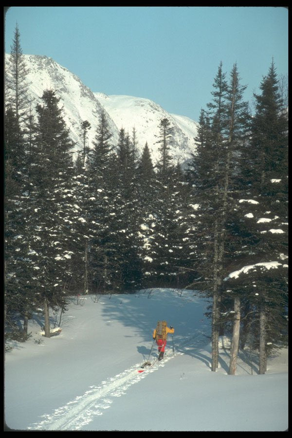 233041 Ski Tour, Quebec A4 Photo Print