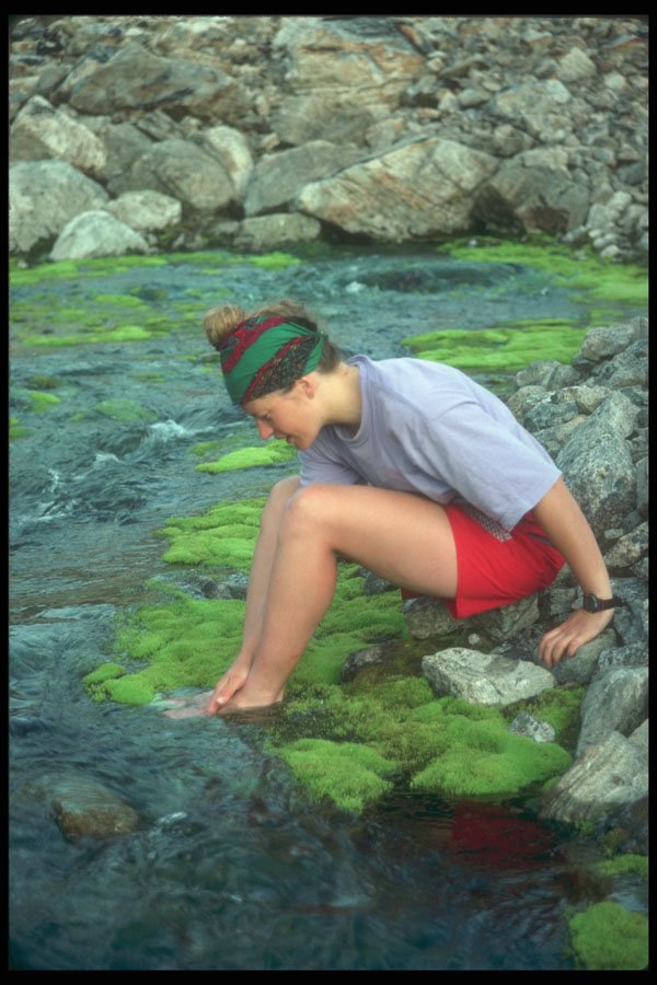 233065 Moss edged Stream, Torngat Mountains, Labrador A4 Photo Print