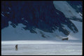 233080 Turner Glacier, Northwest Territories A4 Photo Print