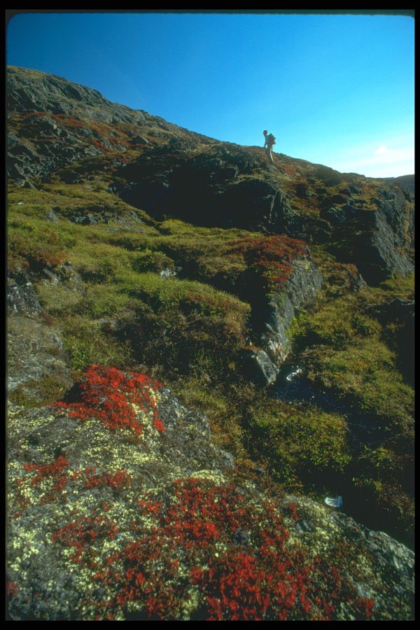 233085 Tundra Walk, Iqaluit, Northwest Territories A4 Photo Print