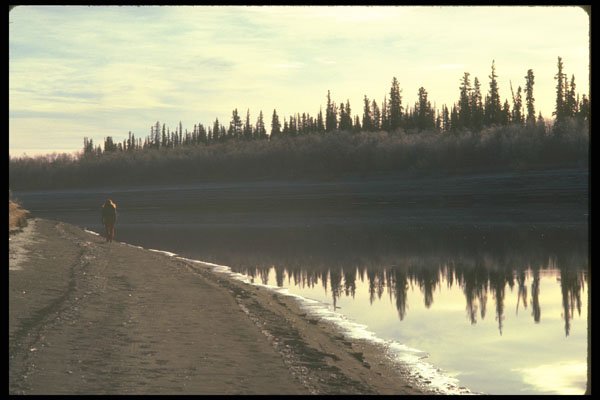 233086 Mackenzie River, Northwest Territories A4 Photo Print