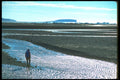 233095 Somerset Island, Northwest Territories A4 Photo Print
