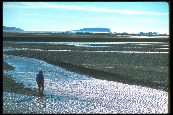 233095 Somerset Island, Northwest Territories A4 Photo Print