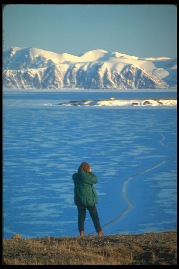 233098 Bylot Island, Northwest Territories A4 Photo Print