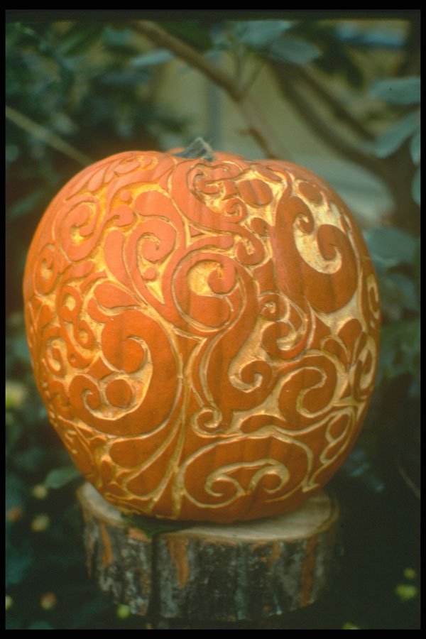 234012 Carved Pumpkin A4 Photo Print