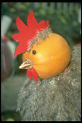 234013 Chicken A4 Photo Print