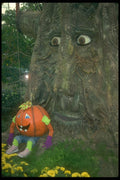 234026 Secret Pumpkin Forest A4 Photo Print