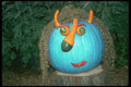 234033 The Garden Pumpkin A4 Photo Print