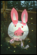 234041 Bunny A4 Photo Print