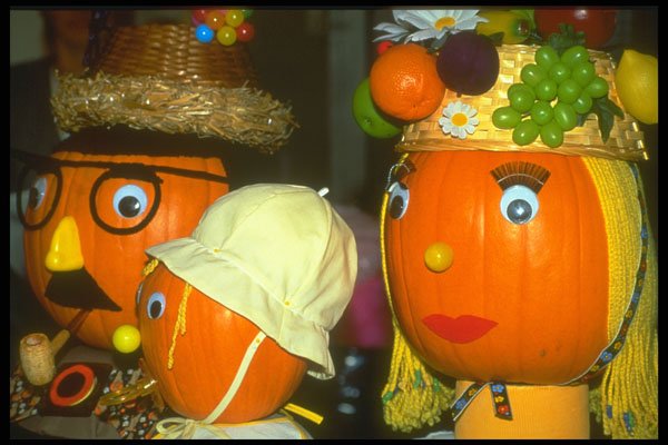 234061 Fruity Family A4 Photo Print