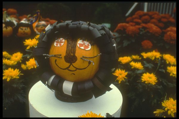 234064 Felix The Cat A4 Photo Print