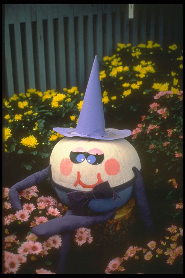 234065 Humpty A4 Photo Print