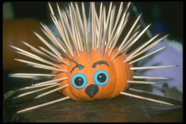 234068 Porcupine A4 Photo Print