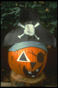 234076 Paper Pirate A4 Photo Print
