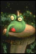 234077 Green Frog A4 Photo Print