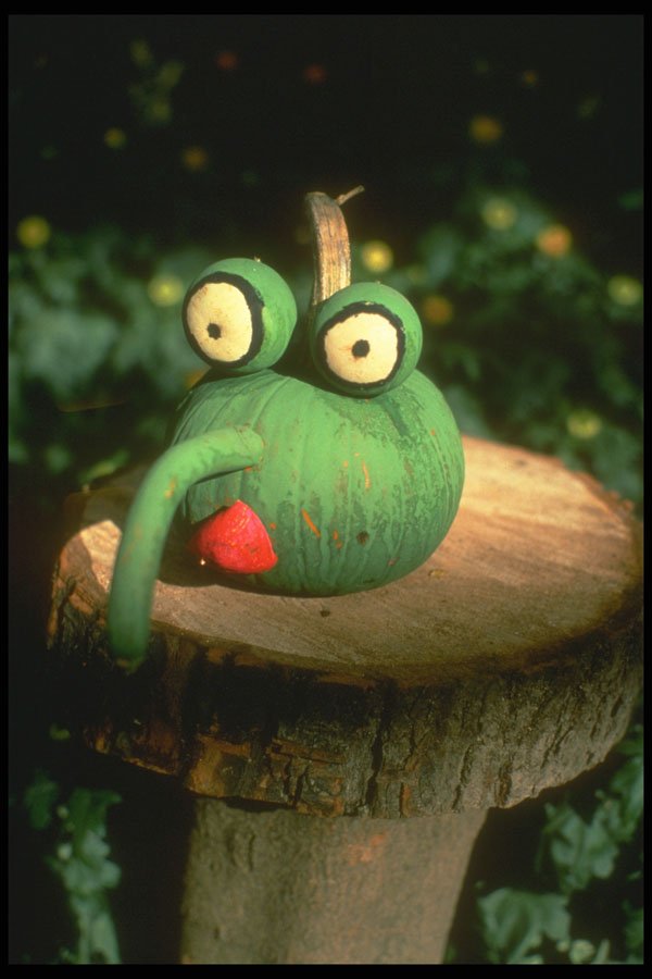 234077 Green Frog A4 Photo Print