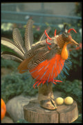 234079 Rarebird A4 Photo Print