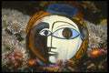234082 Picasso A4 Photo Print