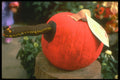 234085 Surprise In Apple A4 Photo Print
