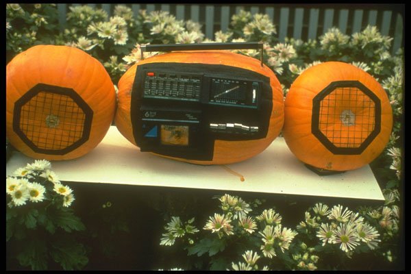 234089 Sony Pumpkin A4 Photo Print