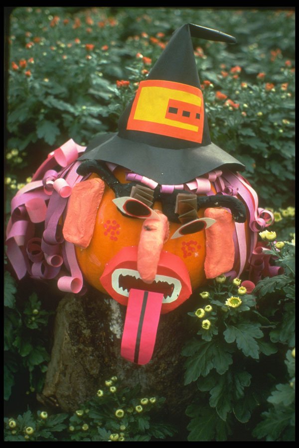 234091 Ugly Face A4 Photo Print