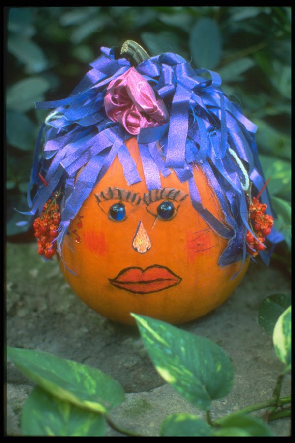 234097 Madame Zuma A4 Photo Print