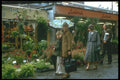 235005 Amsterdam, Flower Market A4 Photo Print