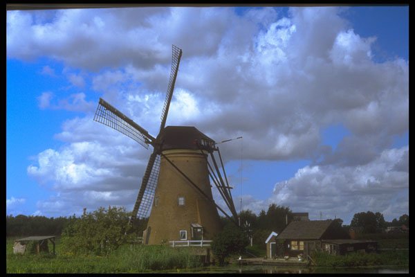 235019 Windmill, Kinderdijk A4 Photo Print