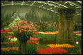 235093 Flower Exposition, Spring Bulbs Show A4 Photo Print