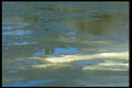 236004 Spring Ice A4 Photo Print