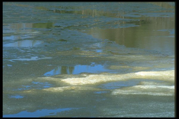 236004 Spring Ice A4 Photo Print