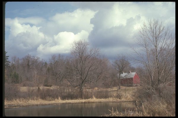 236012 Spring Scenic A4 Photo Print